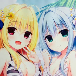 まどそふと ハミダシクリエイティブ 和泉妃愛 錦あすみ B2 シルキースエード タペストリー