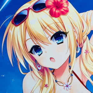 SAGA PLANETS とらのすけ 金色ラブリッチェ 妃玲奈 サマーバケーション B1Wスエード タペストリー