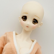 放課後秋葉原ガールズ DDS ドルフィードリームシスター マリコ先生 Doll ドール