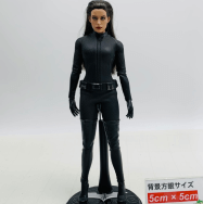 MMS 188 ダークナイトライジング 1/6 キャットウーマン
