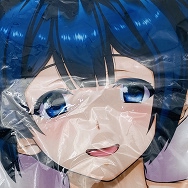 艦隊これくしょん 艦これ 蒼龍 抱き枕カバー