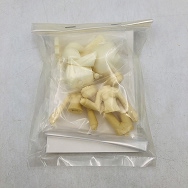 攻殻機動隊 ピンキー・素子 草薙素子 ガレージキット