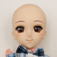 SD 女の子 ドール