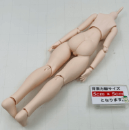 MDD もちあしベースボディ セミホワイト ドール 素体 女の子