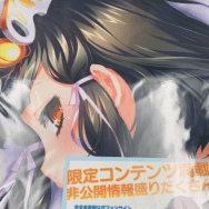 黒獣 淫辱花嫁シリーズ 東方の姫巫女 カグヤ 抱き枕カバー