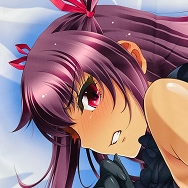 対魔忍ユキカゼ 水城ゆきかぜ 抱き枕カバー 衣装違いver.