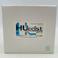 ファンタシー スター オンライン 青 ガレージキット ガレキ PHANTASY STAR ONLINE Hucast ver1.0 BLUE