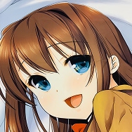 魔法使いの夜 蒼崎青子 抱き枕カバー