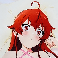 無職転生 異世界行ったら本気だす エリス ランジェリーver 抱き枕カバー