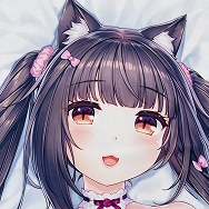 ネコぱら vol.4 ネコとパティシェのノエル メロンブックス有償特典 ショコラ 抱き枕カバー