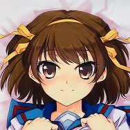 涼宮ハルヒの憂鬱 涼宮ハルヒ 制服&バニー版 抱き枕カバー