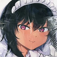 最近雇ったメイドが怪しい リリス 抱き枕カバー