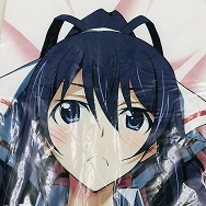 倉嶋丈康 IS インフィニット・ストラトス 篠ノ之箒 抱き枕カバー