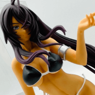 一騎当千 関羽雲長 水着ver. フィックスフィギュア 宮沢模型流通限定