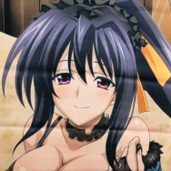 D×D BorN 姫島朱乃 B2タペストリー