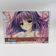 新春初夢萌BOX 2015 しんたろー 抱き枕カバー 射ペストリー ドラマCD カレンダー