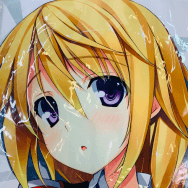 憂姫はぐれ IS インフィニット・ストラトス シャルロット=デュノア 抱き枕カバー