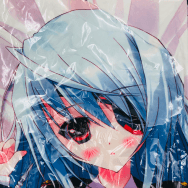 Private Garden 鶴崎貴大 IS インフィニット ストラトス ラウラ ボーデヴィッヒ 抱き枕カバー