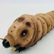 1/700 モスラ 幼虫 1961 完成品