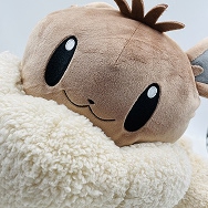 ポケモン ボタンのイーブイリュック