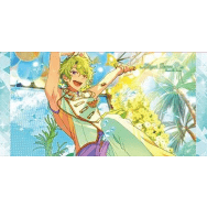 あんさんぶるスターズ! 巴日和 ビジュアルバスタオルvol.4