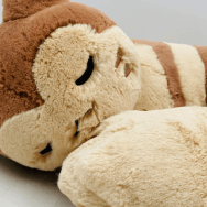 ポケットモンスター ふわふわぬいぐるみクッション もりのおくりもの オオタチ