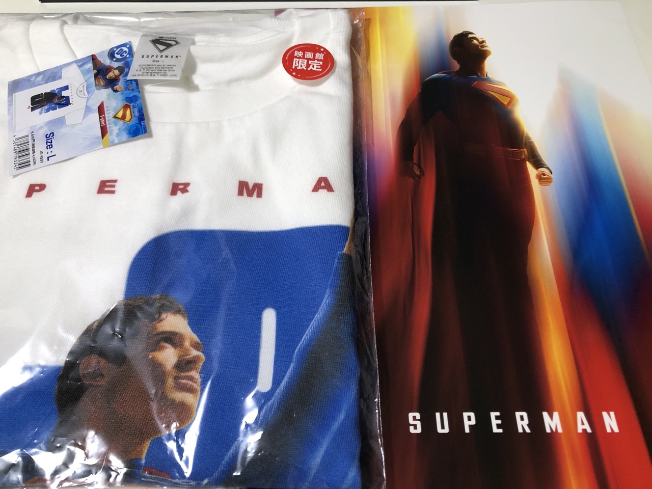 パンフレットとTシャツ