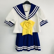 コスプレ衣装 らきすた 陵桜学園高校女子夏服 女性Mサイズ