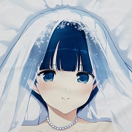 HOBBY STOCK 八重樫南 閃乱カグラ 夜桜 ウェディングver 抱き枕カバー