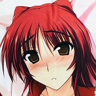 ToHeart2 タマ姉 向坂環 抱き枕カバー