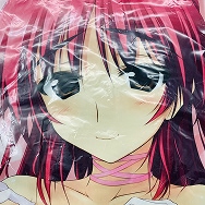 ToHeart2 向坂環 タマ姉に甘え隊! 抱き枕カバー