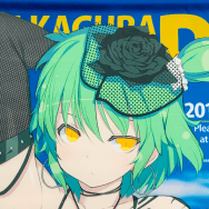 閃乱カグラ PEACH BEACH SPLASH にゅうにゅうDXパック ローチケHMV購入特典 日影 描き下ろし B2タペストリー