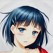 ソードアート・オンライン SAO 桐ヶ谷直葉 リーファ 抱き枕カバー
