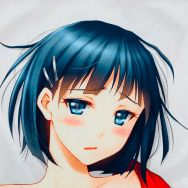 TID ソードアート・オンライン SAO 桐ヶ谷直葉 リーファ 抱き枕カバー