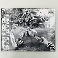 機動戦士ガンダムSEED 1/100 パーフェクトストライクガンダム スペシャルコーティング Ver.