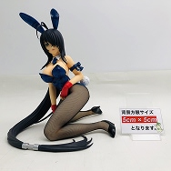 一騎当千 集鍔闘士血風録 1/4 関羽雲長 バニーVer.