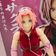 NARUTO ナルト 疾風伝 春野サクラ 師匠譲りの負けん気