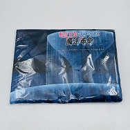 転生王女と天才令嬢の魔法革命 描き下ろし タオルケット アニスフィア & ユフィリア 舞踏会