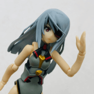 IS インフィニット・ストラトス シュヴァルツェア・レーゲン×ラウラ・ボーデヴィッヒ