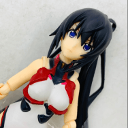 IS インフィニット・ストラトス 紅椿×篠ノ之箒