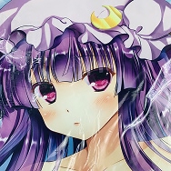 東方project パチュリー・ノーレッジ 抱き枕カバー