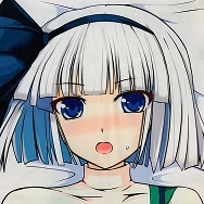 東方project レオタード妖夢 魂魄妖夢 抱き枕カバー