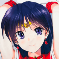 みたらし侯成 美少女戦士セーラームーン セーラーマーズ 火野レイ 抱き枕カバー