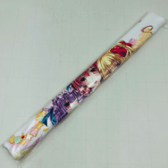 東方project パチュリー・ノーレッジ 小悪魔 フランドール・スカーレット B2タペストリー