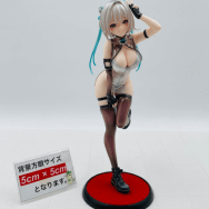 DSマイル オリジナルキャラクター 1/6 メイメイ 特典 イラストポストカード付き