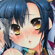 真・恋姫†夢想プレミアムパッケージ蜀 関羽 愛紗 メルティチャイナver 抱き枕カバー