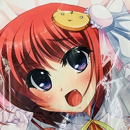八葉香南 真・恋姫†無想 パワフルガール 鈴々張飛 抱き枕カバー