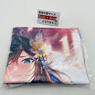 双天†恋姫 至源の王 Amazon特典 項羽 愛莉 B2タペストリー