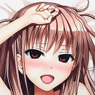 試作型 咲-Saki-阿知賀編 新子憧 EX版 抱き枕カバー