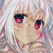 畳 オリジナル 褐色姫 抱き枕カバー